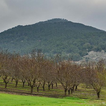 Pearl Of The Valley Hotel Kfar Tavor Екстер'єр фото