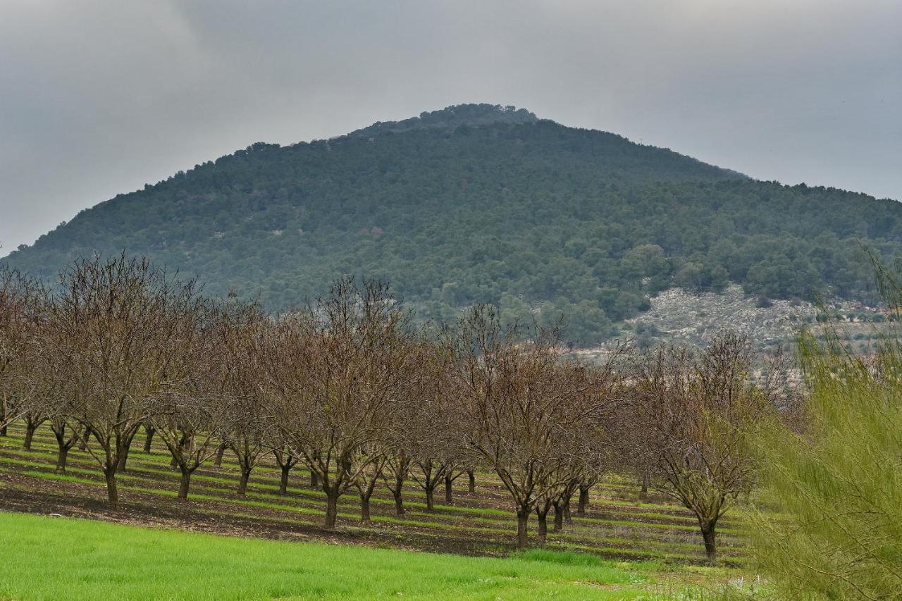 Pearl Of The Valley Hotel Kfar Tavor Екстер'єр фото